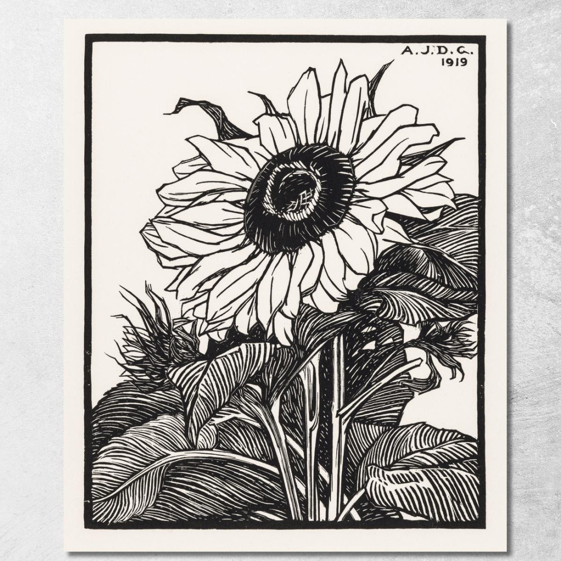 Girasole Julie de Graag jdg58 quadro stampato su tela Girasole Julie de Graag jdg58 quadro stampato su tela