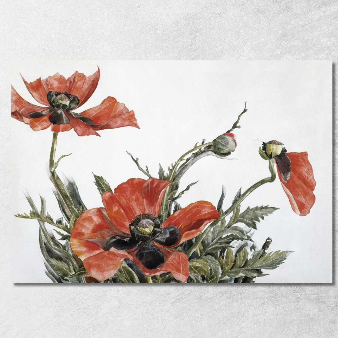 Papaveri Rossi Charles Demuth cdm42 quadro stampato su tela Papaveri Rossi Charles Demuth cdm42 quadro stampato su tela