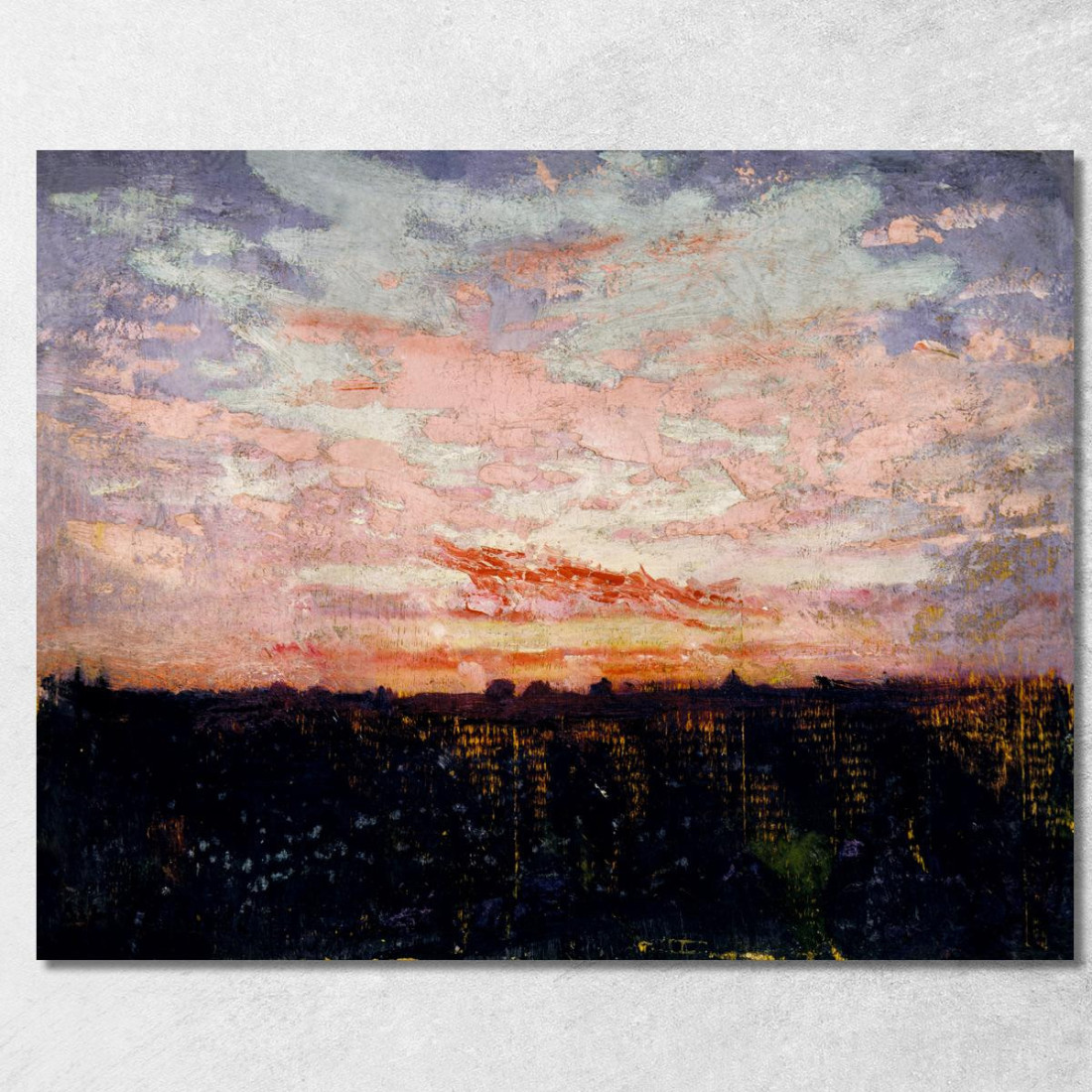 Studio Di Spatole Rosate Per Un Libro Che Nasconde La Colorazione Nel Regno Animale Abbott Handerson Thayer aht17 quadro stampa Studio Di Spatole Rosate Per Un Libro Che Nasconde La Colorazione Nel Regno Animale Abbott Handerson Thayer aht17 quadro stampa