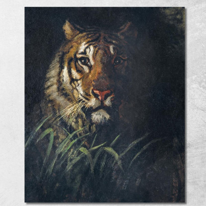 Testa Di Tigre Abbott Handerson Thayer aht24 quadro stampato su tela