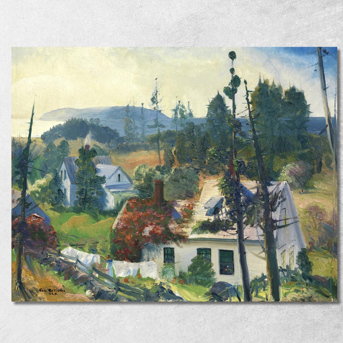 La Vite Rossa Matinicus Island Maine George Bellows gbl23 quadro stampato su tela La Vite Rossa Matinicus Island Maine George Bellows gbl23 quadro stampato su tela