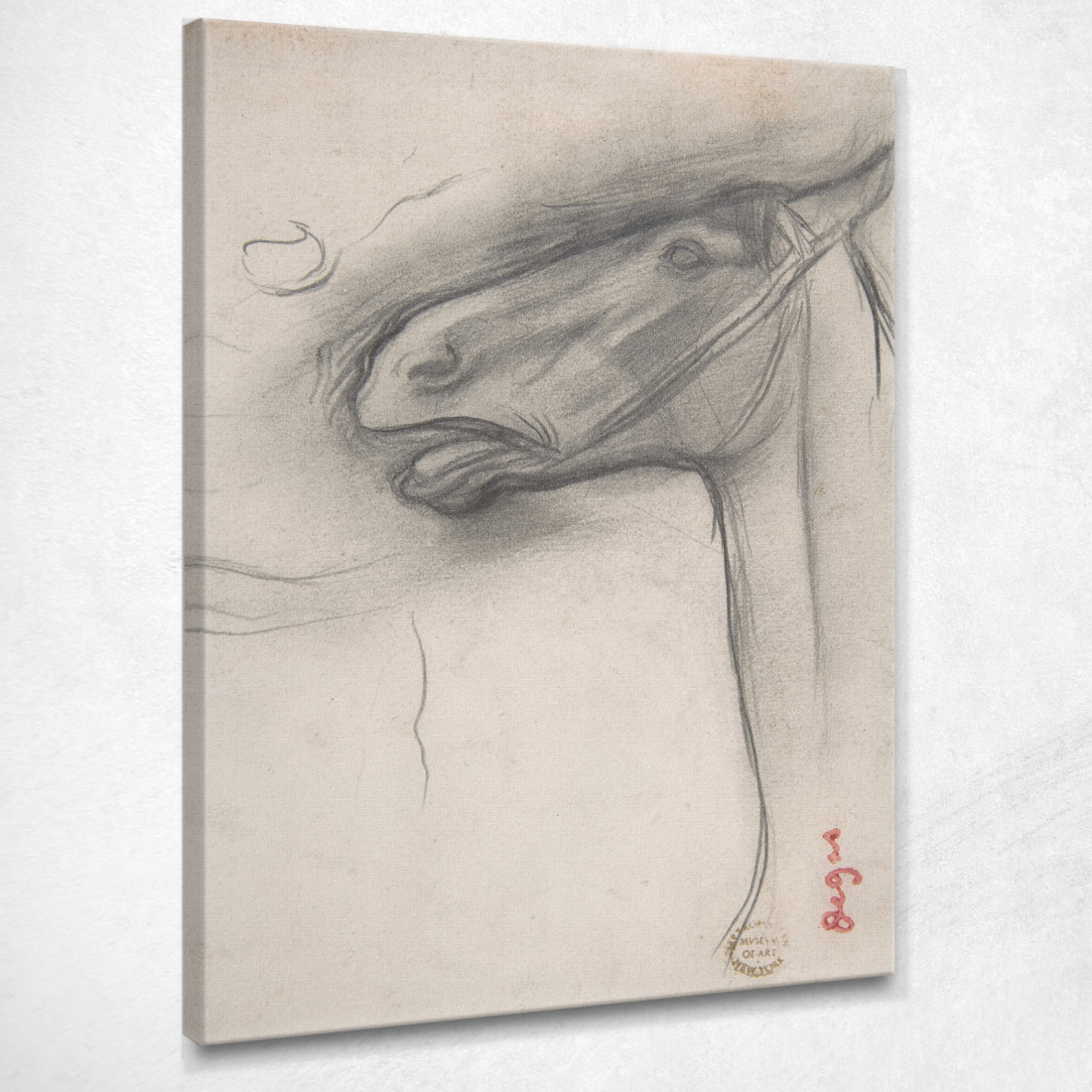 Testa Di Cavallo Edgar Degas edg178 quadro stampato su tela Testa Di Cavallo Edgar Degas edg178 quadro stampato su tela