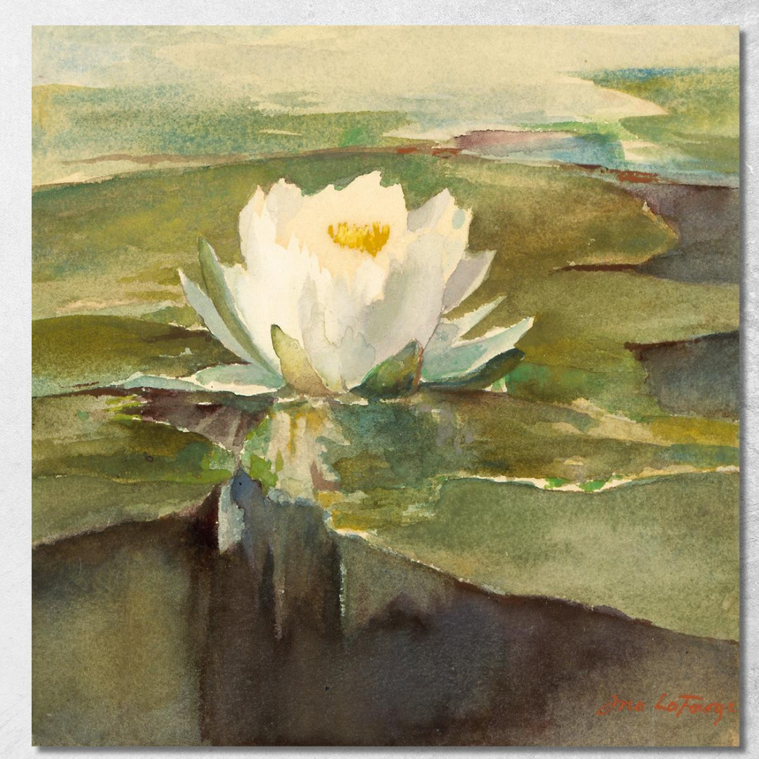 Ninfea Alla Luce Del Sole John La Farge jlf42 quadro stampato su tela Ninfea Alla Luce Del Sole John La Farge jlf42 quadro stampato su tela