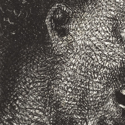 Il Satiro Dal Sorriso Cinico Odilon Redon ord77 quadro stampato su tela