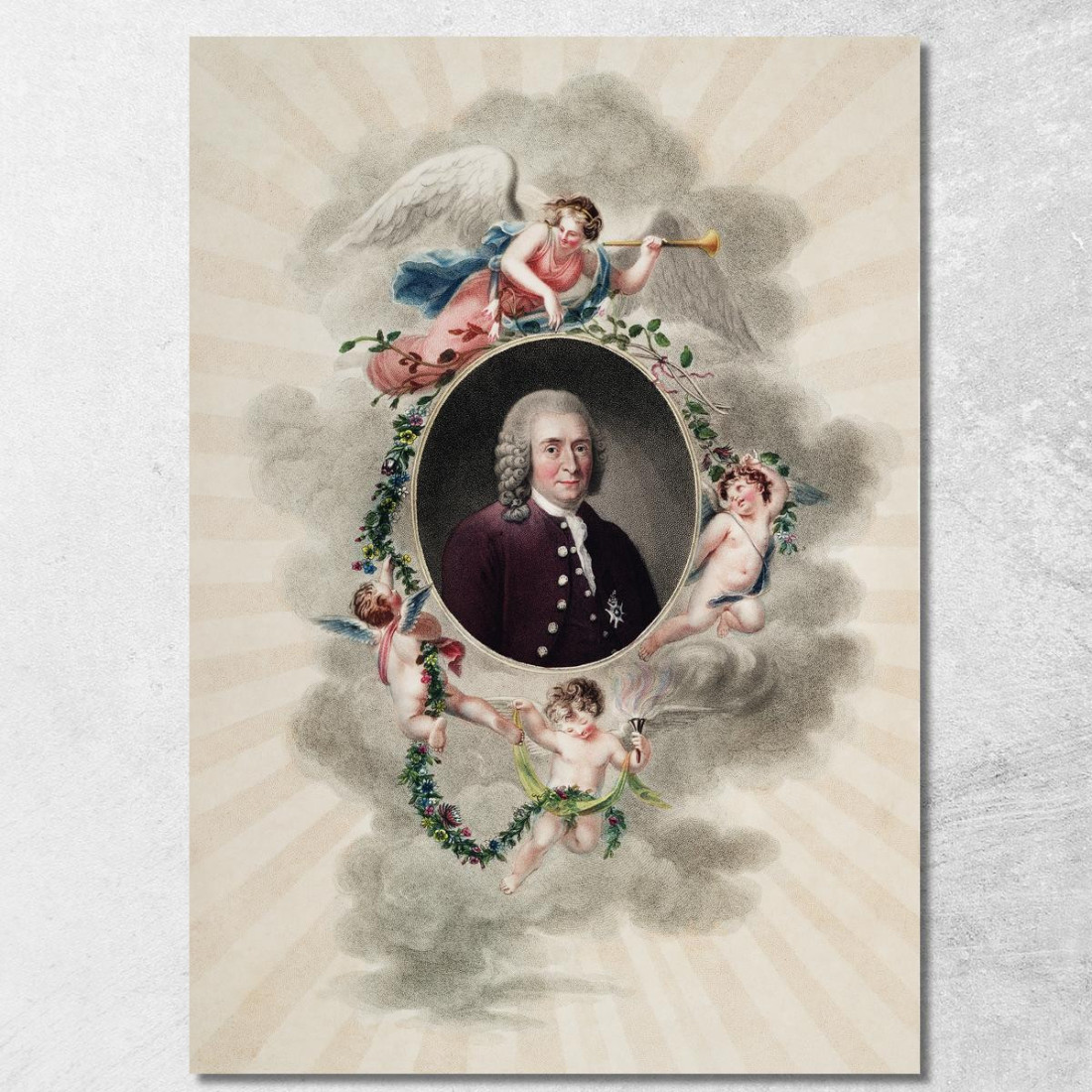 Il Ritratto Di Carlo Linneo Dal Tempio Di Flora Robert John Thornton rjt26 quadro stampato su tela Il Ritratto Di Carlo Linneo Dal Tempio Di Flora Robert John Thornton rjt26 quadro stampato su tela