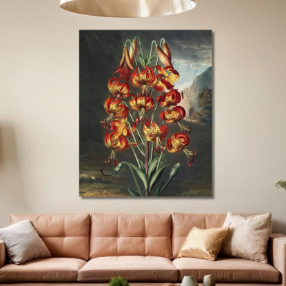 Il Superbo Giglio Del Tempio Di Flora Robert John Thornton rjt31 quadro stampato su tela