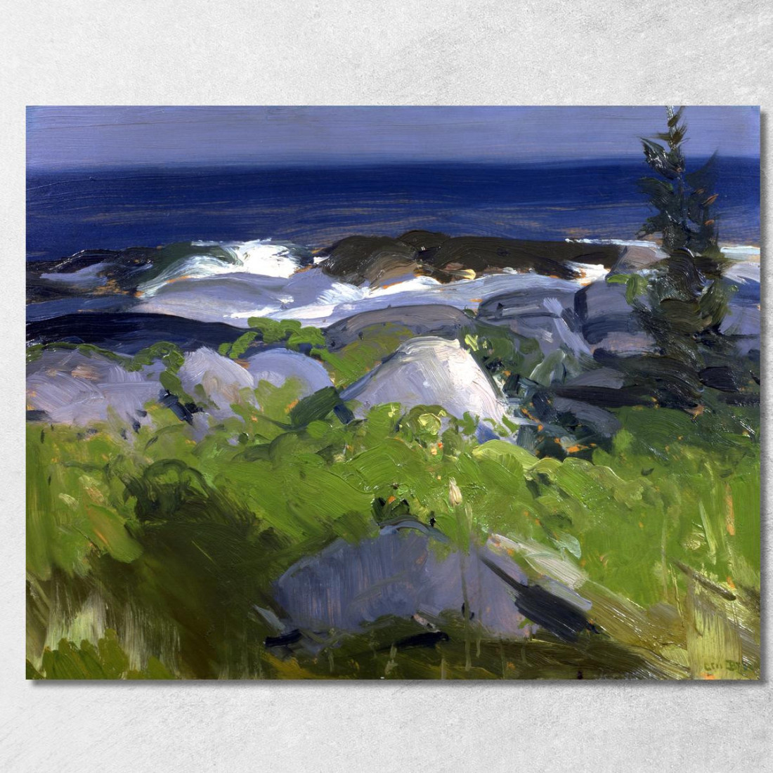 Costa Ricoperta Di Viti Monhegan Island George Wesley Bellows gwb78 quadro stampato su tela