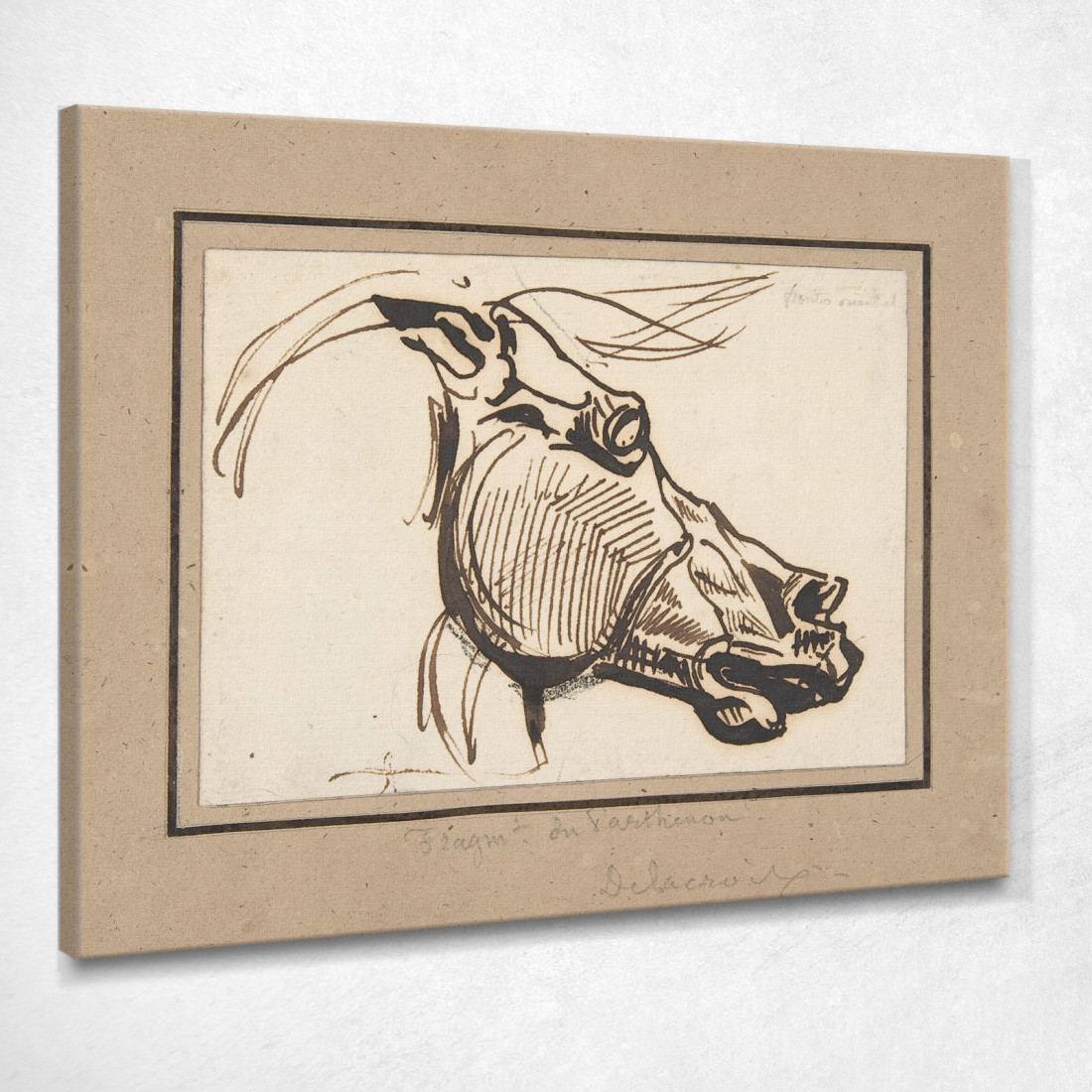 Testa Di Cavallo Dal Partenone Eugène Delacroix edx51 quadro stampato su tela Testa Di Cavallo Dal Partenone Eugène Delacroix edx51 quadro stampato su tela