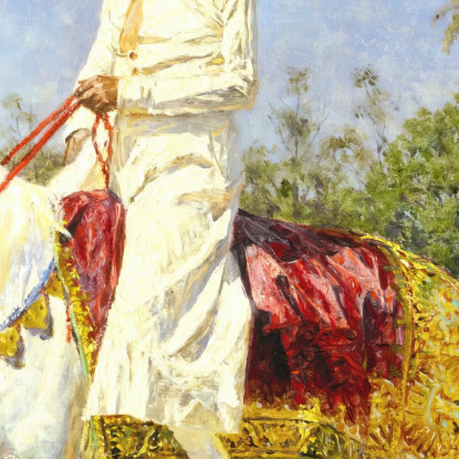 Cavaliere A Jaipur Vasily Vereshchagin vvr46 quadro stampato su tela