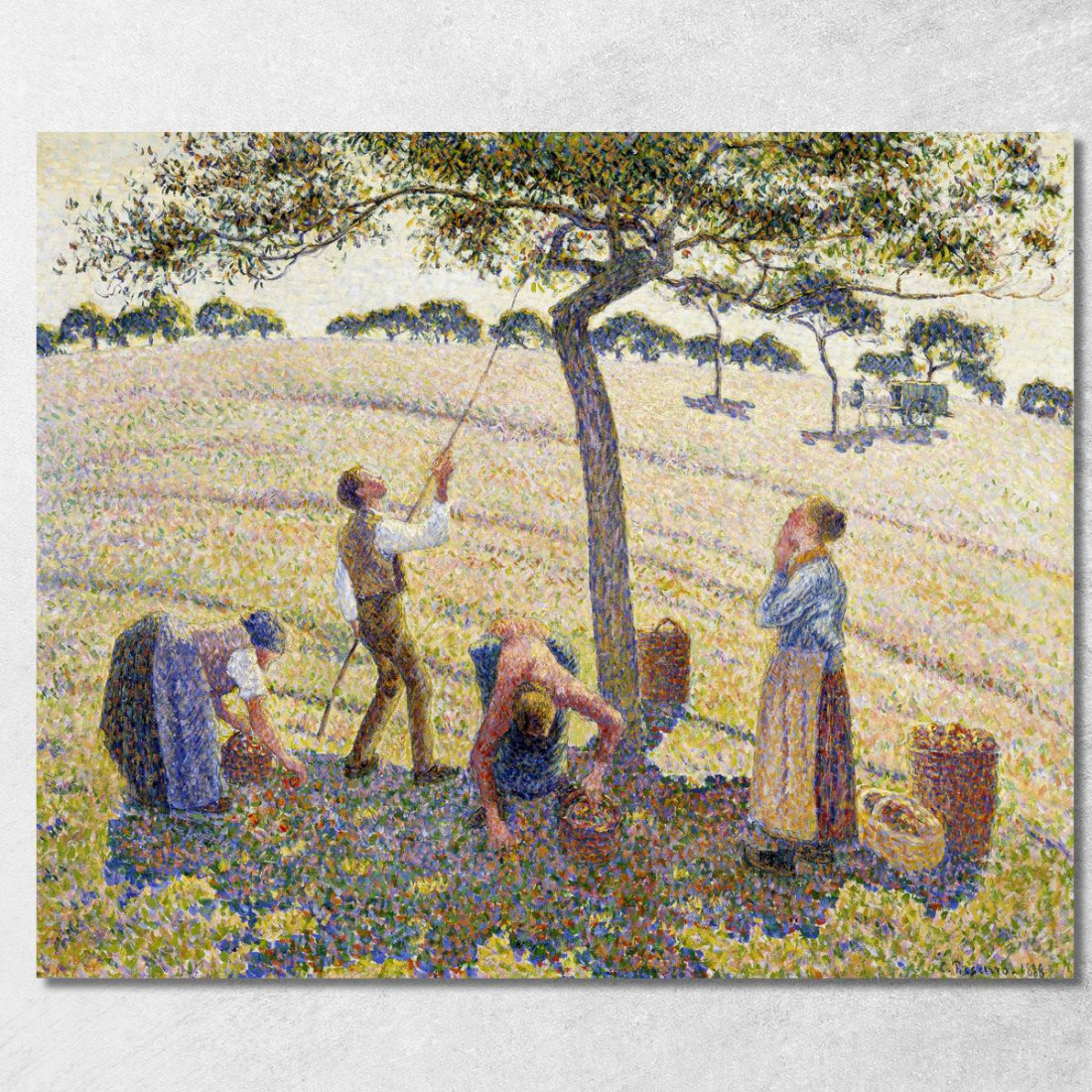 Raccolta Delle Mele 1888 Originale Dal Dal Camille Pissarro cps9 quadro stampato su tela Raccolta Delle Mele 1888 Originale Dal Dal Camille Pissarro cps9 quadro stampato su tela