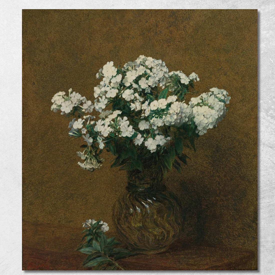 Flox Bianco In Un Vaso Henri Fantin-Latour hft66 quadro stampato su tela Flox Bianco In Un Vaso Henri Fantin-Latour hft66 quadro stampato su tela